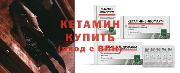 ПСИЛОЦИБИНОВЫЕ ГРИБЫ Новозыбков