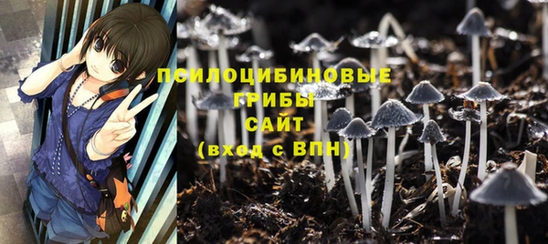 МДПВ Нефтекумск