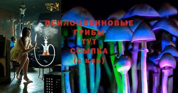 наркотики Новодвинск