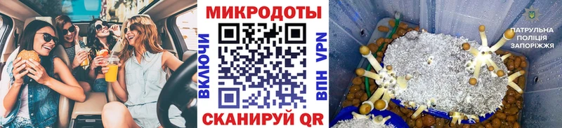 даркнет сайт  Поворино  Галлюциногенные грибы прущие грибы 